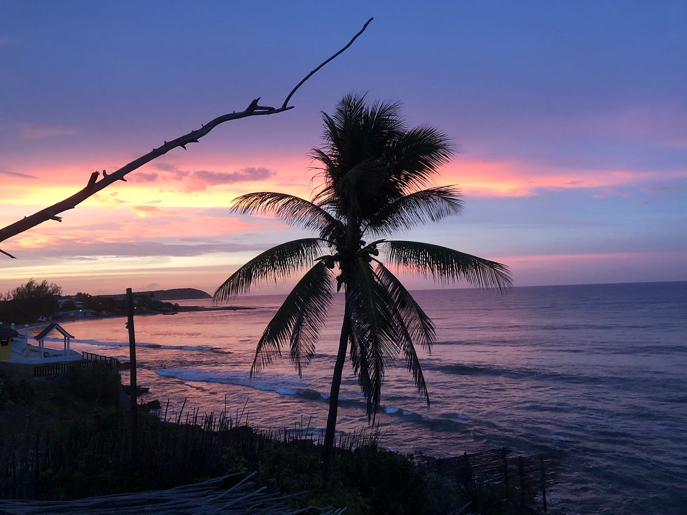 Your browser can't play this video. Printing Money With Td Ameritrade S Api By Jonathan Cooper The Startup Medium