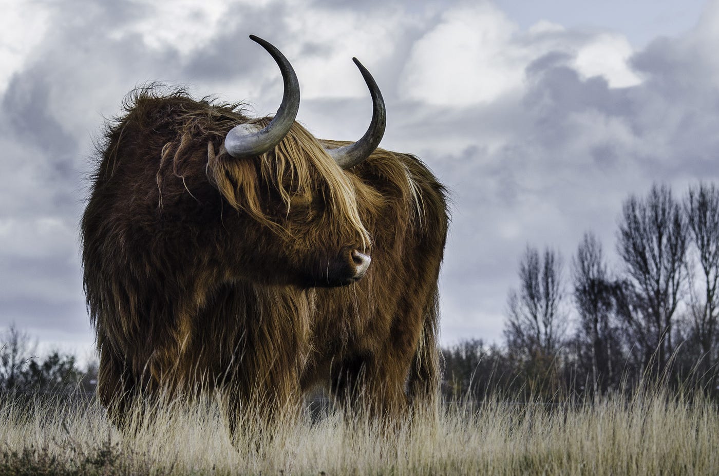 So based on the current run rate, over the next couple of years, there’s. Is The Crypto Bull Run Over It Is Not Easy Being Optimistic In This By Mohamad Hakim Mar 2022 Datadriveninvestor