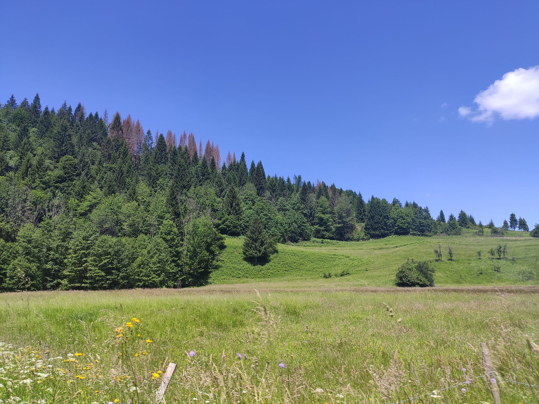 Traventure Gorski Kotar Cogrljevo Jezero Kamacnik Zeleni Vir Vrazji Prolaz Petehovac Spilja Lokvarka Izvor Kupe By Mraskaj Traventure Medium