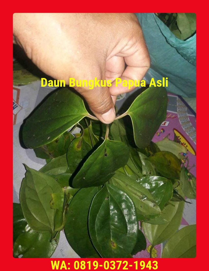 62819–0372–1943 (WA) Toko Jual Daun Bungkus Papua Di Jakarta Bogor  Tangerang Bekasi Depok | by DaunBungkus PapuaAsli | Medium