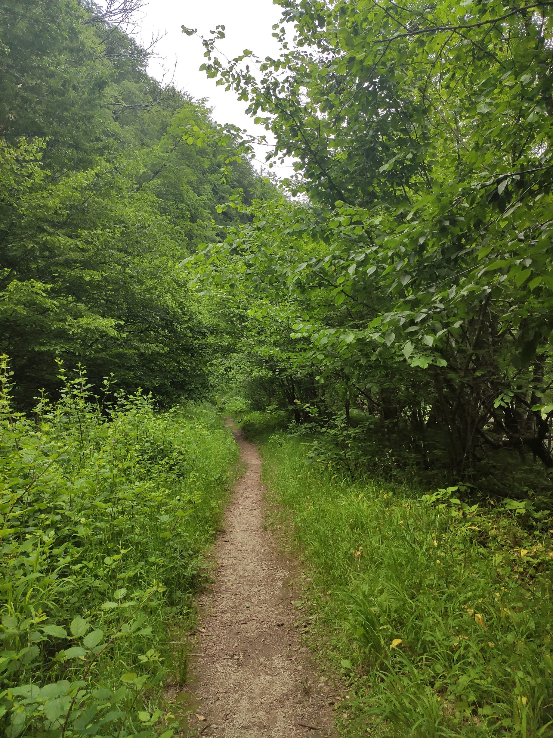 Traventure Gorski Kotar Cogrljevo Jezero Kamacnik Zeleni Vir Vrazji Prolaz Petehovac Spilja Lokvarka Izvor Kupe By Mraskaj Traventure Medium