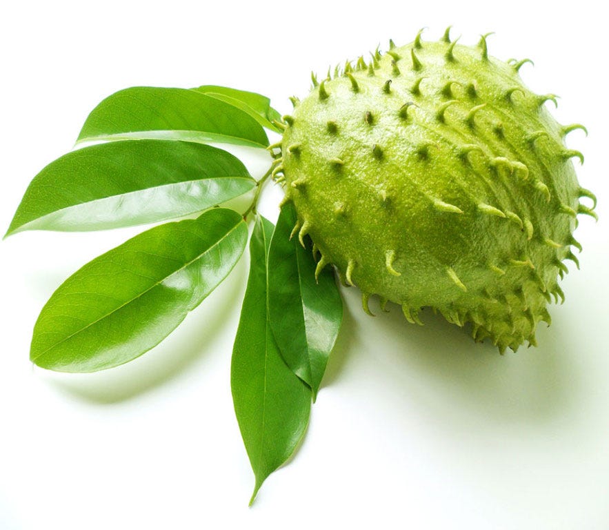 Cara Menaikkan Peranakan Yang Turun Secara Alami Cara Menaikkan Peranakan Yang Turun Bisabo Channel Cara Menaikkan Trombosit Yang Mudah Adalah Dengan Mengonsumsi Makanan Kaya Akan Nutrisi Dan Vitamin Apy Barra