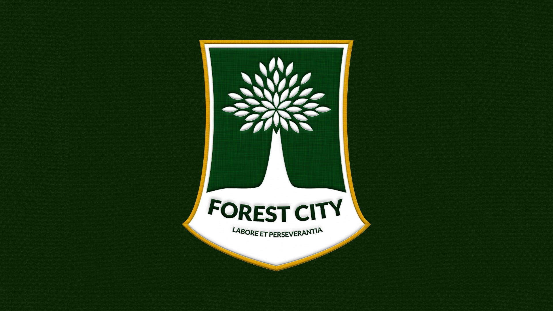 Forest City Fc Case Study Grow The Forest City The Design And By Owen Morley Medium