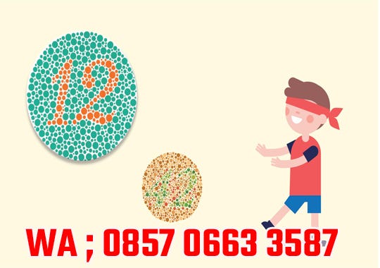 Inilah Cara Mengatasi Buta Warna Terbaru Dan Terbukti Sukses | by Terapi  Butawarna | Medium