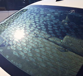 Apr 10, 2020 · pampasan ini termasuk kos cermin, upah, dan/atau filem penghadang haba (tinted solar film) yang telah anda pasangkan pada cermin kereta anda. Window Tinting And Why I Hate It Window Tinting Stereotypes By Solar Art Applaudience Medium