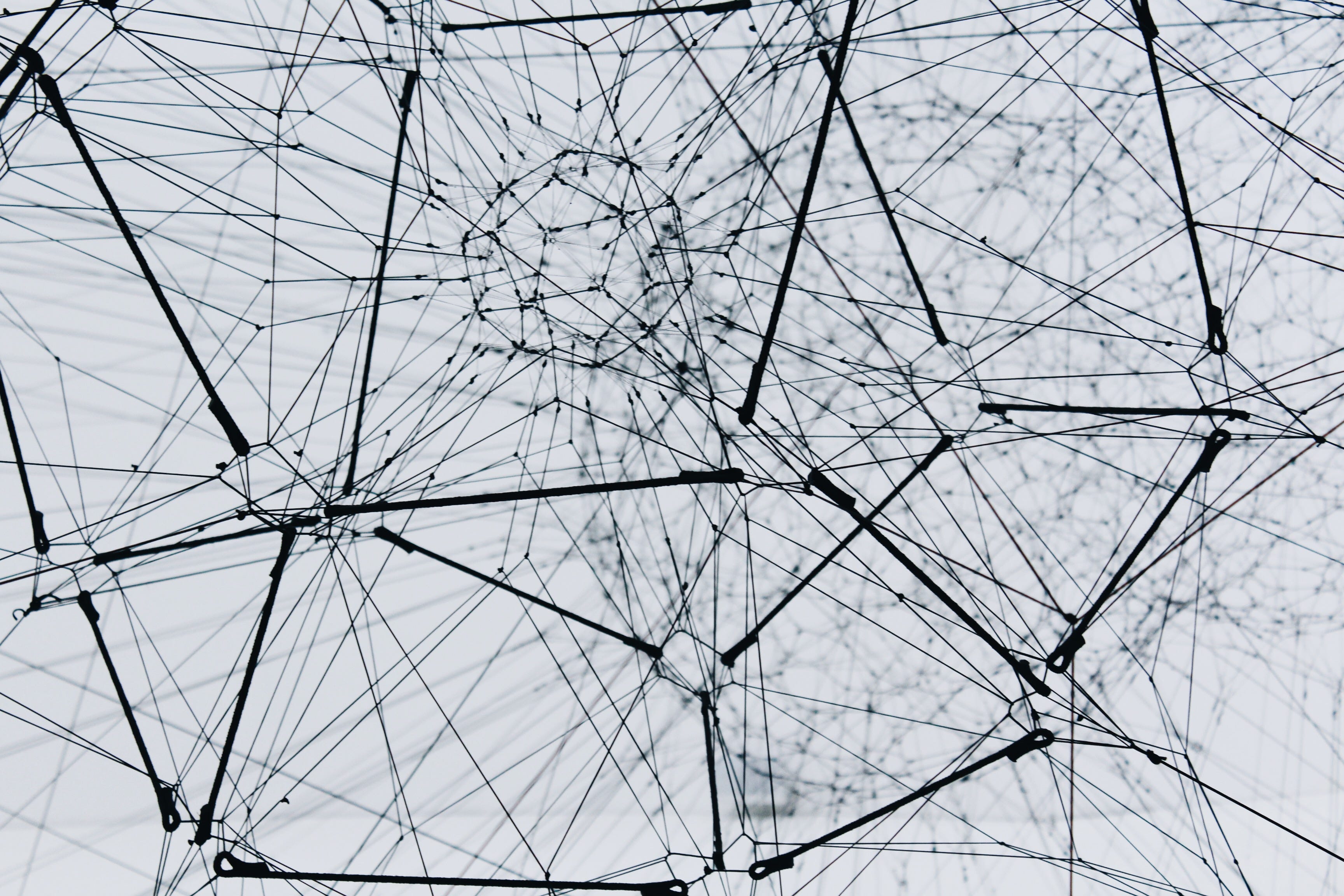 This dark search engine is not the most popular one out there but can say it was the first one of its kind. Intuitive Neural Networks Understanding And Building Nn Models By Gokul S Kumar Towards Data Science