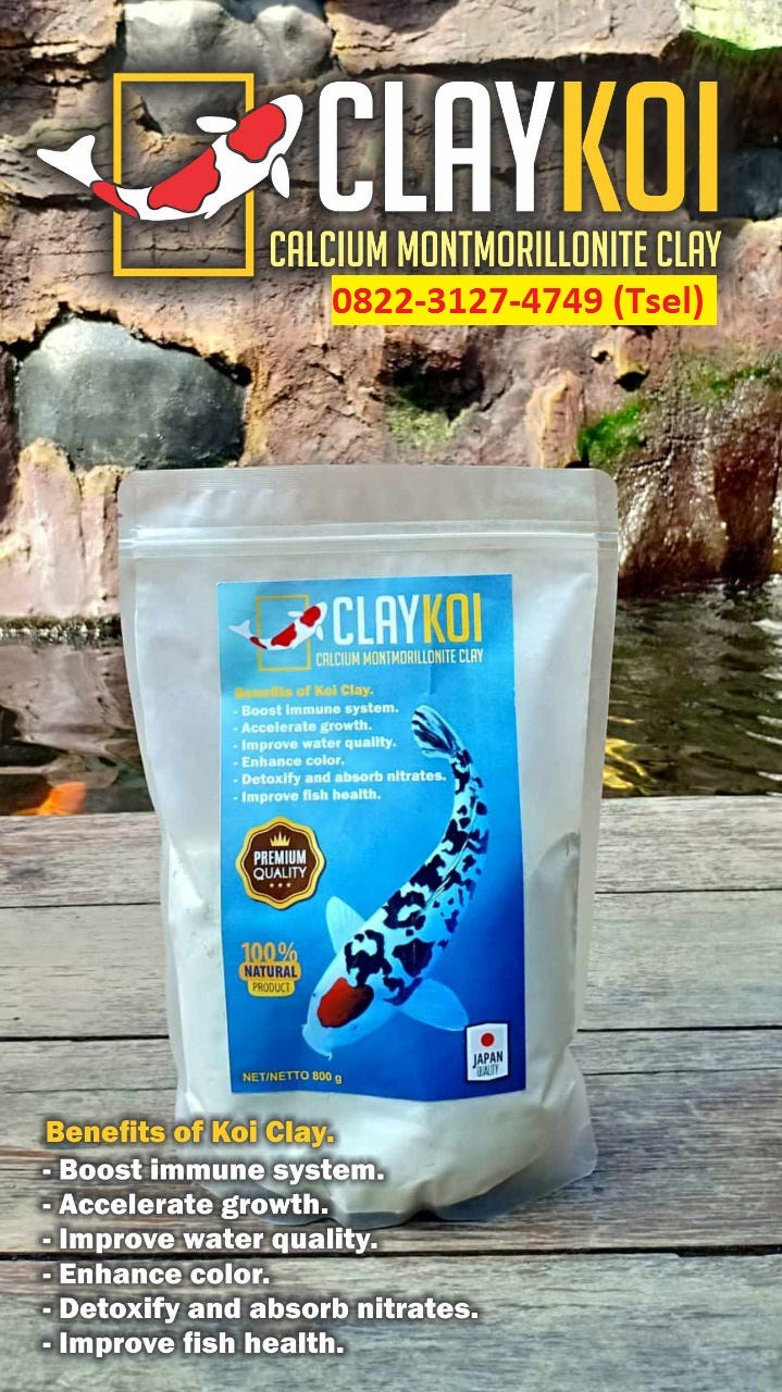 Harga murah di lapak ritasadeli51. 0822 3127 4749 Tsel Kolam Koi Tetap Jernih Kolam Koi Tiba Tiba Berbusa Claykoi Tulungagung Samarinda Wonosobo By Larasati Agen Resmi Fiforlif Ladyfem Foredi Medium