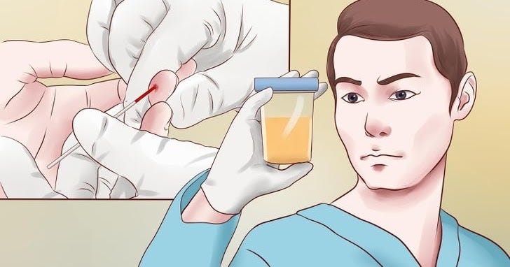 Cara Mudah Menurunkan Kadar Ureum Tinggi | by Khasiat Jelly Gamat QnC |  Medium