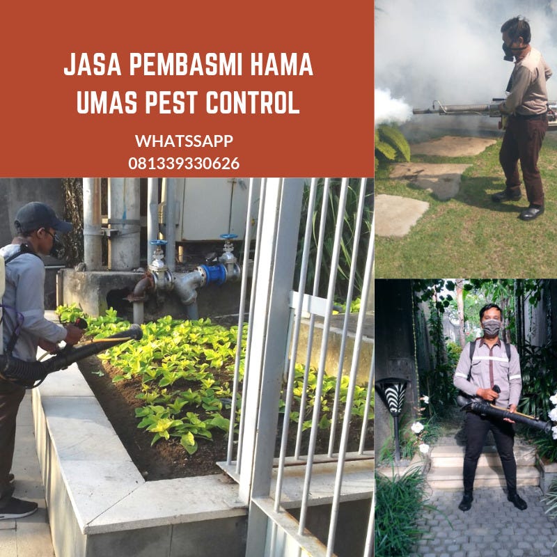 Perusahaan yang mendedikasikan diri untuk membantu banyak orang dalam menangani permasalahan hama yang menganggu rumah maupun bisnisnya , baik dari serangan . 081339330626 Jasa Pembasmi Hama Di Bali By Elony Efrata Medium