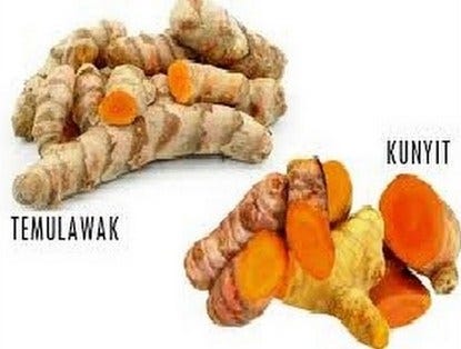 Jamu Untuk Melancarkan Haid Yang Tidak Teratur - Ini Aturannya