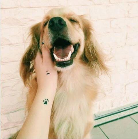 30 Beautiful Dog Tattoo Ideas For Dog Lovers! | By Abhishek Joshi | Medium 481_x_480_jpg