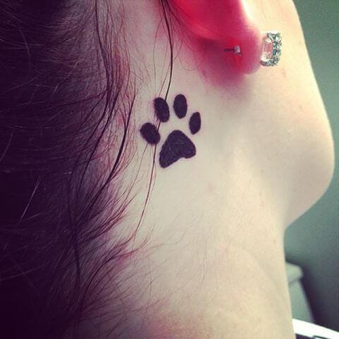 30 Beautiful Dog Tattoo Ideas For Dog Lovers! | By Abhishek Joshi | Medium 480_x_480_jpg