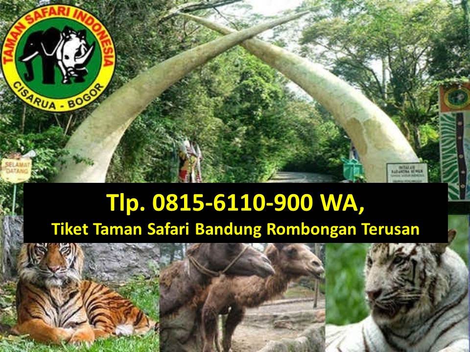 Tlp. 0815–6110–900 WA, Tiket Taman Safari Sukabumi Rombongan Terusan | by  Khulfi Numasta | Medium