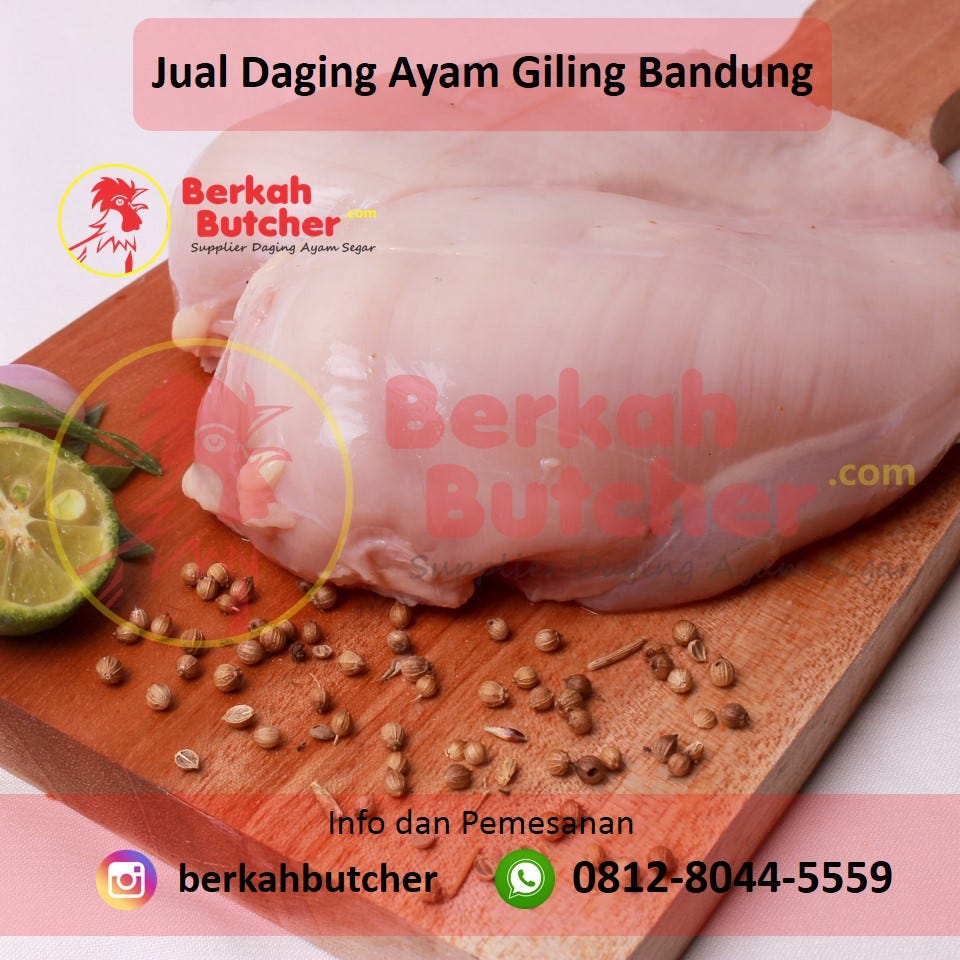 Harga Ayam Fillet Di Pasar Bandung, Tlp/Wa. 0812–8044–5559, Berkah Butcher | by Jual Daging Ayam Giling Bandung | Medium