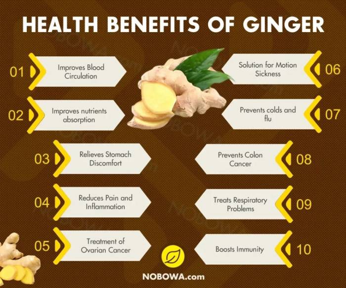 Ten Health Benefits of Ginger | by OlumoRockTV | Medium