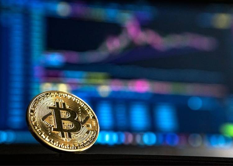 Bitcoin at 7K: Is This Market Panic a Purchase Sign or a Bear Market Warning? | by Sophia Lopez | The Capital | Oct, 2025 Bitcoin at 7K: Is This Market Panic a Purchase Sign or a Bear Market Warning? | by Sophia Lopez | The Capital | Oct, 2025