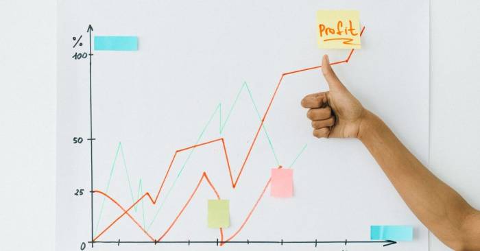 Usaha modal kecil untung besar