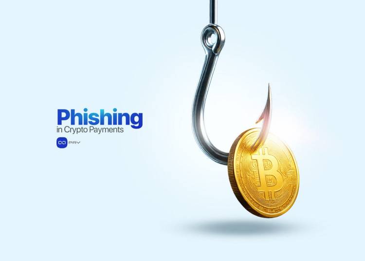 Phishing in Crypto Funds: Actual Examples and  Keep away from Them | by OxaPay | The Capital | Oct, 2025