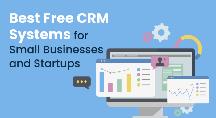 Affordable CRM Options for USA Small Businesses