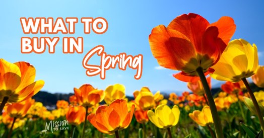 spring sky and tulips with text what to buy in spring