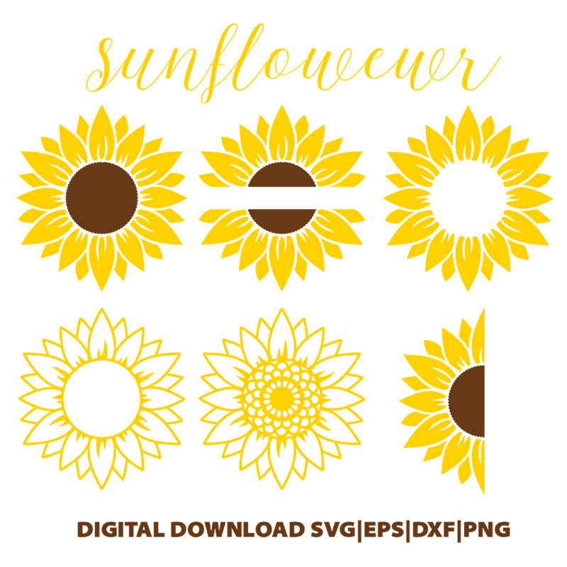 This sunflower with bees is perfect for your diy scrapbooking, card making and all crafting projects! Half Sunflower Svg Sunflower Svg Split Sunflower Svg Sunflower Monogram Svg Cut Files Cricut Silhouette Clip Art Art Collectibles Brainchild Net