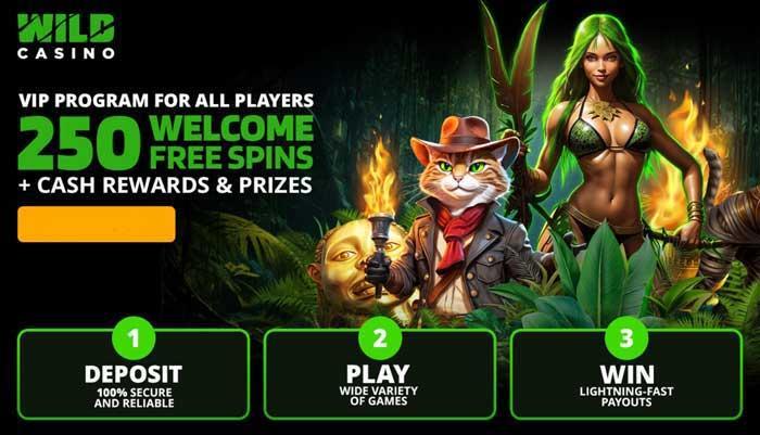 Free Spins No Deposit Casinos Grow in Popularity as Wild