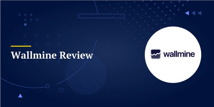 Wallmine Review 2023: The Best Free Investment Toolkit