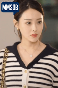 ဖူးစာဖက်(MMSUB)