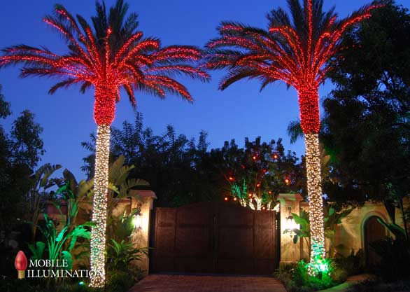 Alison gootee/studio d photo by: Tree Wrapping And Tree Lighting Mobile Illumination