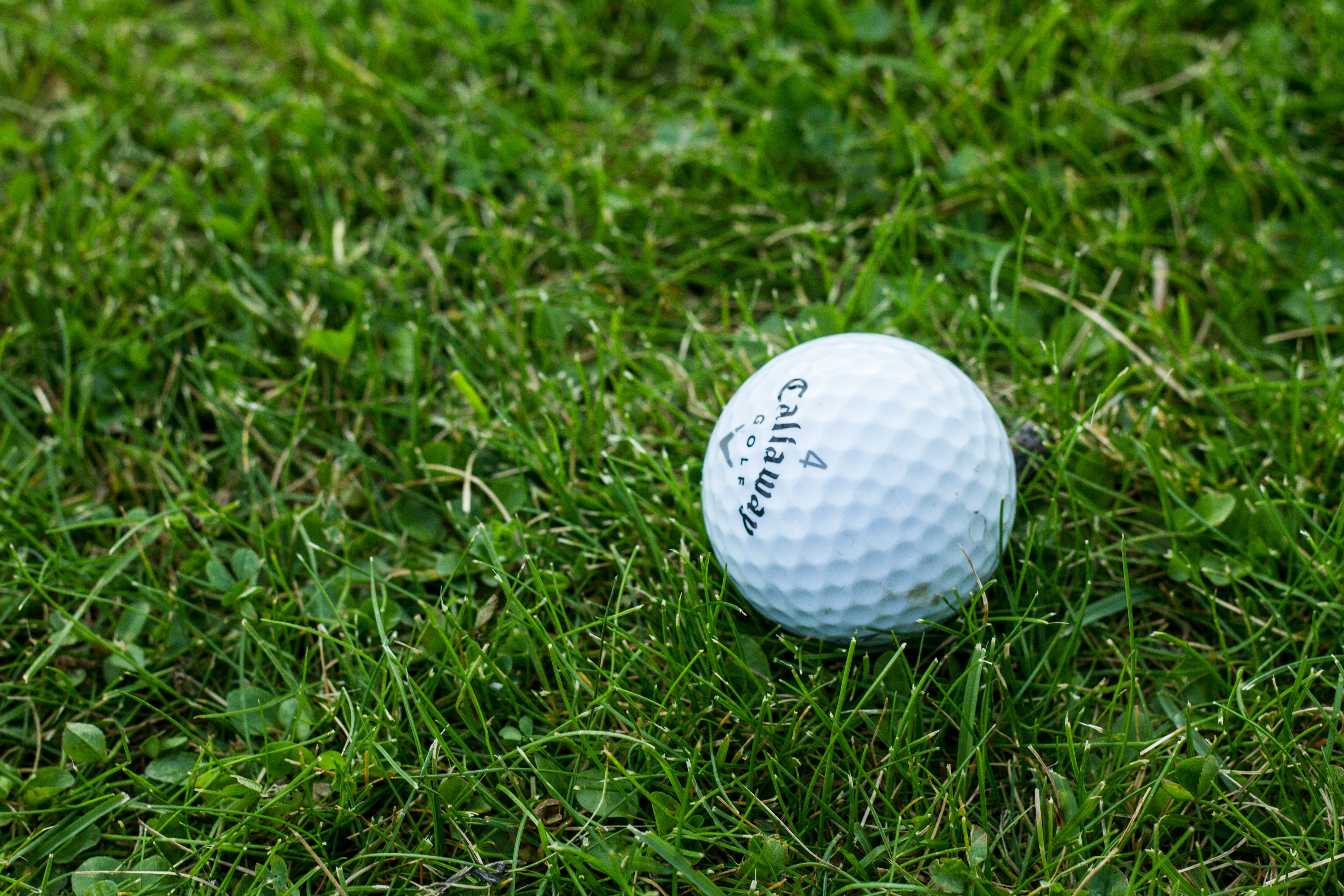 Search free golf wallpapers on zedge and personalize your phone to suit you. Laden Sie Das Golf Hintergrundbild Fur Ihr Handy In Hochwertigen Hintergrundbildern Golf Kostenlos Herunter