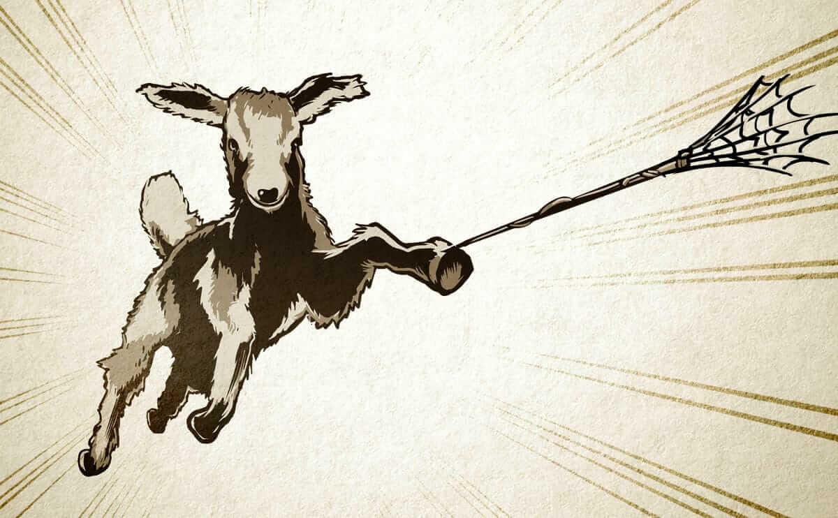 By lale arikoglu paris, known for its long boulevards, perfectly manicured parks, and beautiful architecture, is about to get even. The Silky, Milky, Totally Strange Saga of the Spider Goat