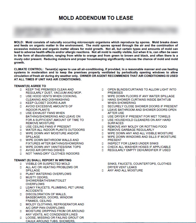 What can i do as a tenant? Mold In A Rental Landlord Won T Fix The Mold Problem A Guide To Mold And Tenant S Rights Mold Help For You