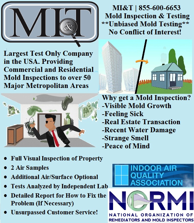Above 4,000 square feet, the cost . How Much Does A Mold Inspection Cost