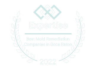 We provide detailed inspections of both residential homes and . South Florida Mold Removal Mold Remediation Mold Only