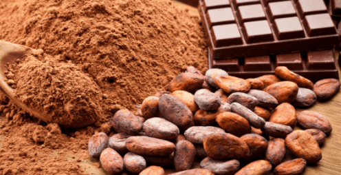 FTN Cocoa Processors Returns to Profit Amid High Debt Load