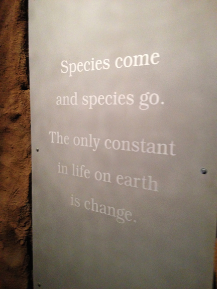 Final words to the Ice Ages Gallery, and to the Royal Tyrrell Museum galleries, by M. Keiran