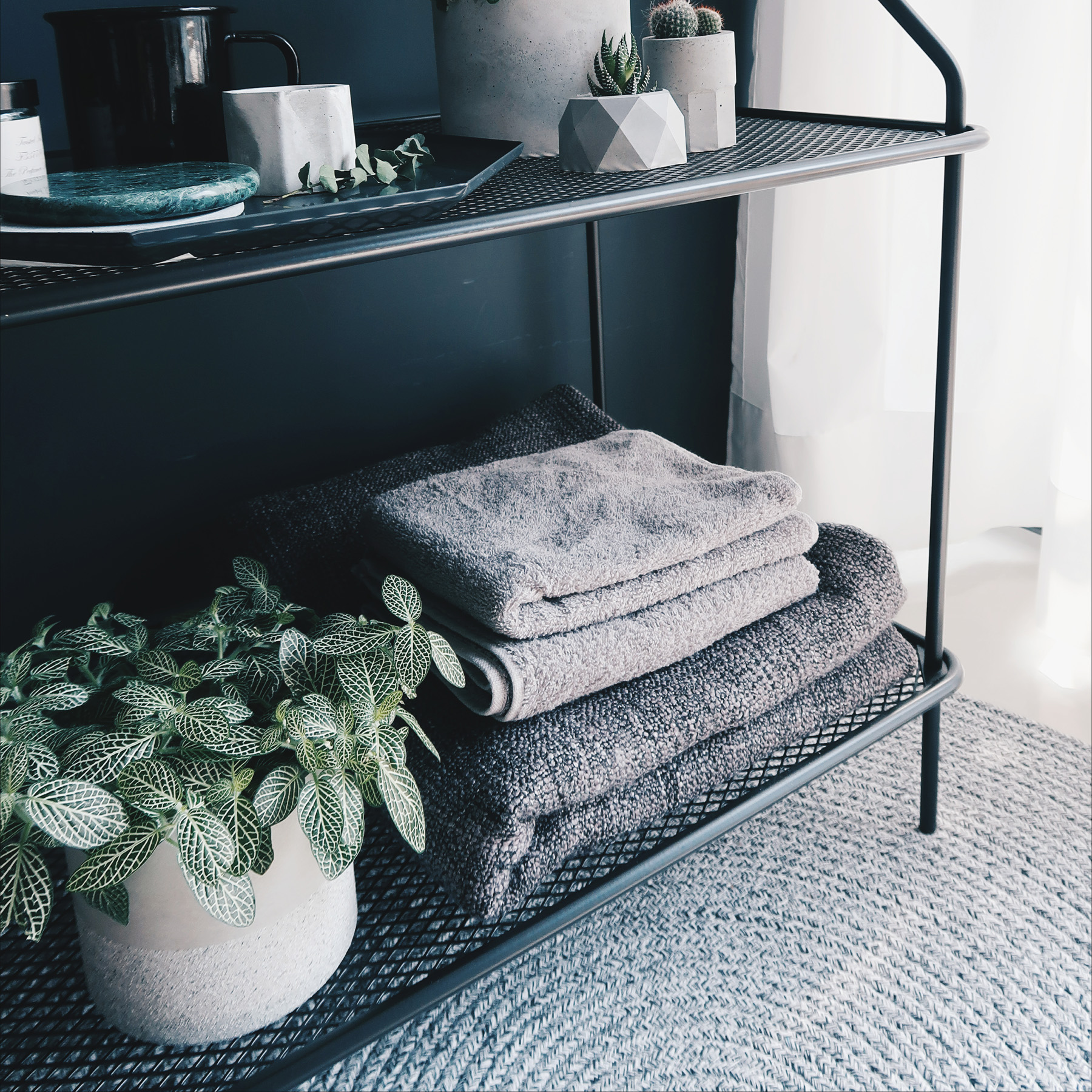 Concrete Design 水泥設計家飾・盆器・盆栽