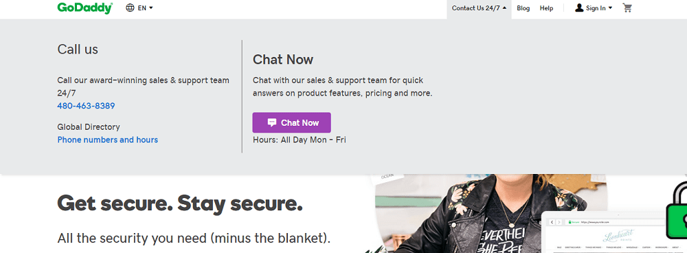Lo mejor para sitios web de wordpress y drupal. GoDaddy vs WordPress: Difficult Choice or an Impossible Comparison