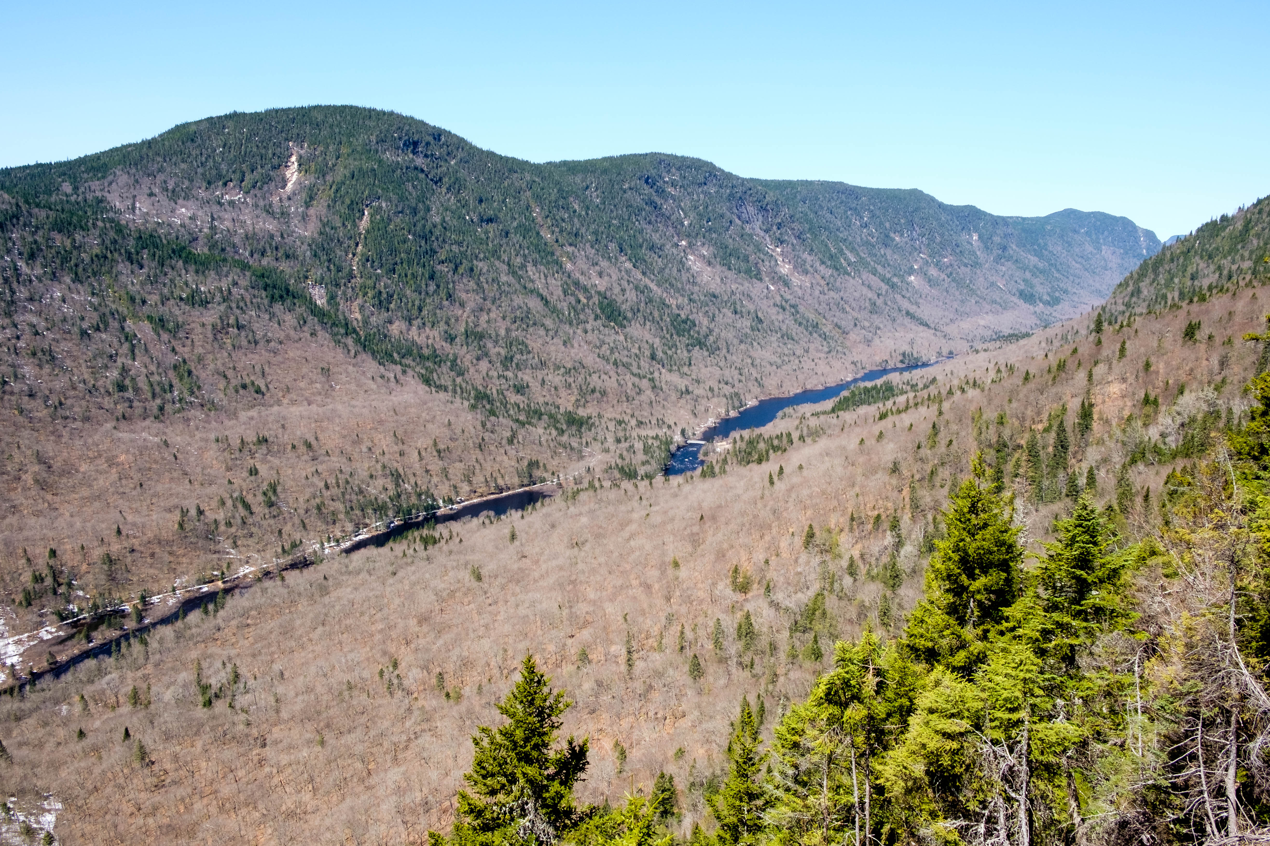 Sentier Des Loups Quebec  : Une Meute De Loups Rend Visite À Cette Famille En Vacances Dans Leur Chalet Au Quebec.