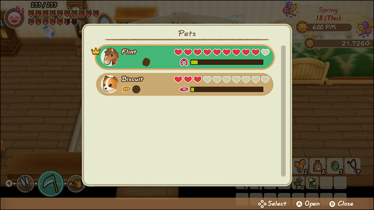 Frisbee festival · summer 3: How to Make Friends in 'Friends of Mineral Town' - Moonieverse