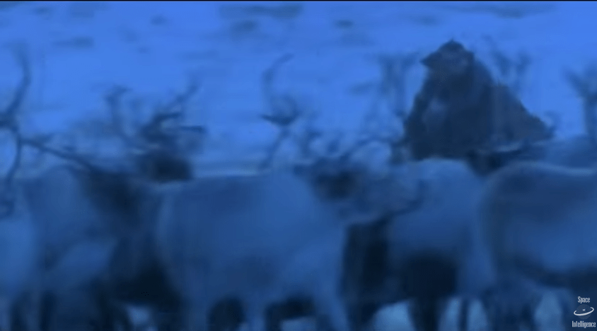 Teachings on Interbeing