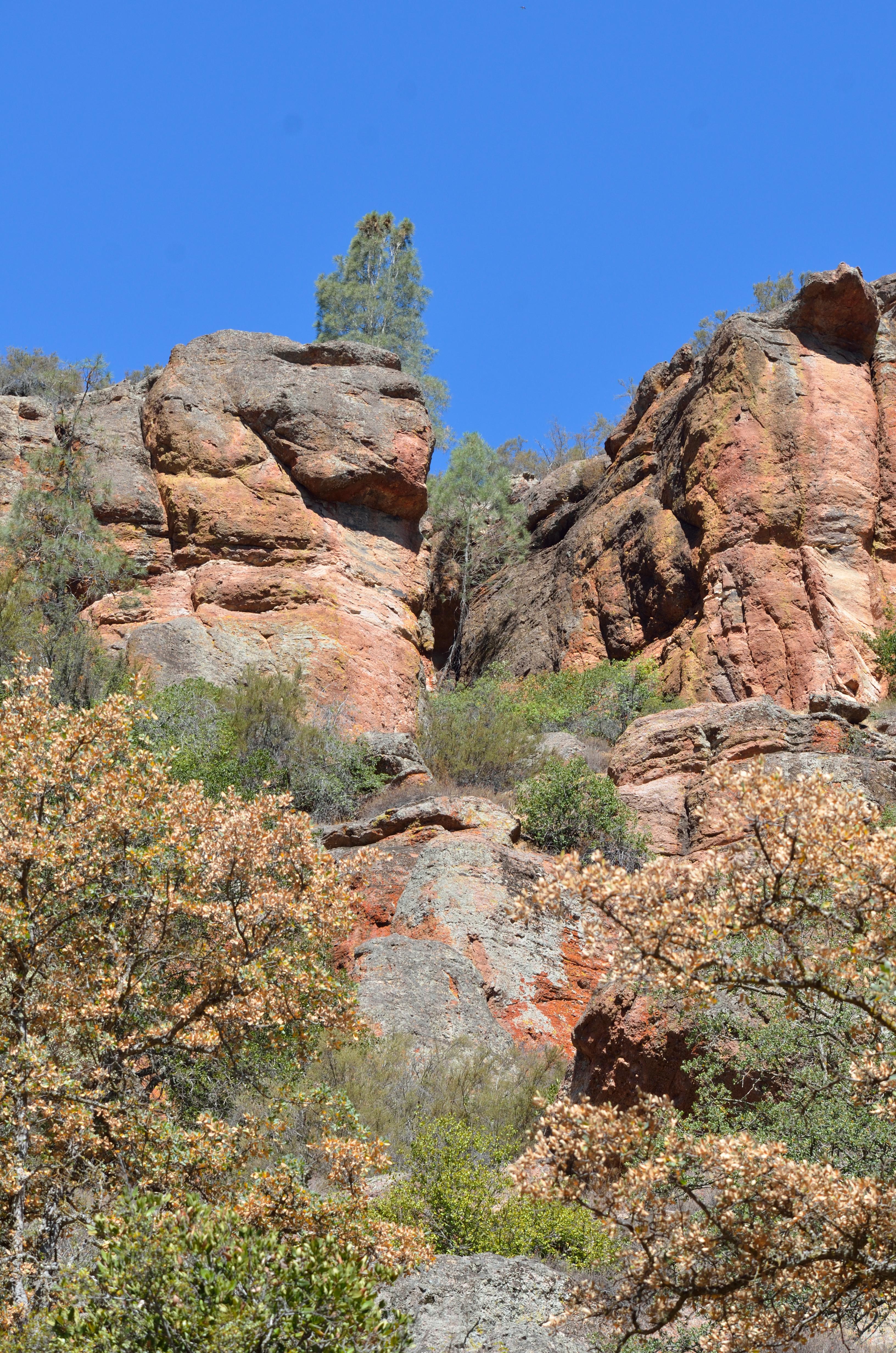 Pinnacles National Park The Rocks