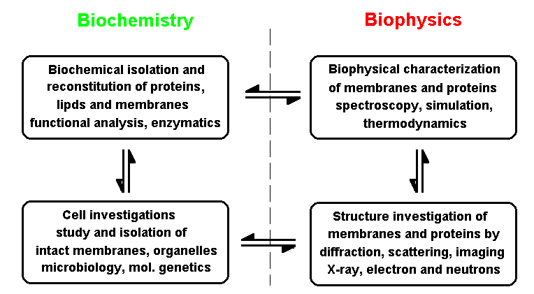 Welcome to mb&b ~ mechanisms of life at the molecular level. Tna Mpsd Concept