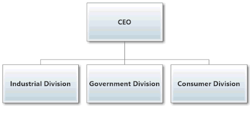 Divisional Organizational Structure Example