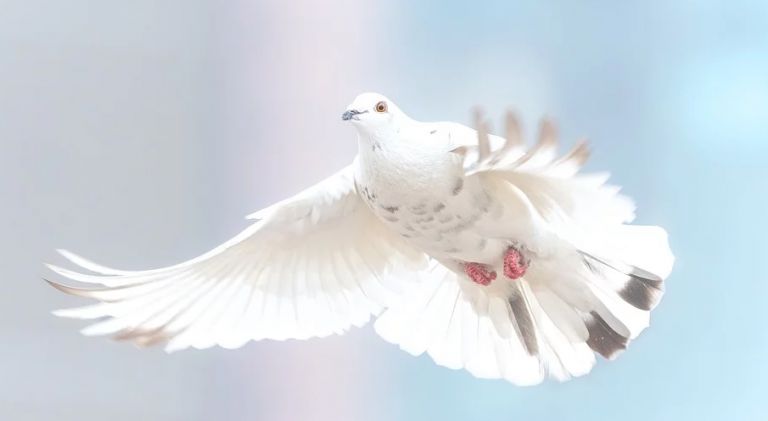 شبكة الشفاء العالمية علاج بالرقية الشرعية ، الاناشيد الاسلامية ، المحاضرات الصوتية القرآن الكريم تفسير الأحلام الطب النبوي ÙØ§Ø°Ø§ ØªØ¹Ø±Ù Ø¹Ù ØªÙØ³ÙØ± Ø­ÙÙ Ø§ÙØ­ÙØ§ÙØ© Ø§ÙØ¨ÙØ¶Ø§Ø¡ ÙÙ Ø§ÙÙÙØ§ÙØ â¢ ÙÙÙØ¹ ÙØµØ±Ù