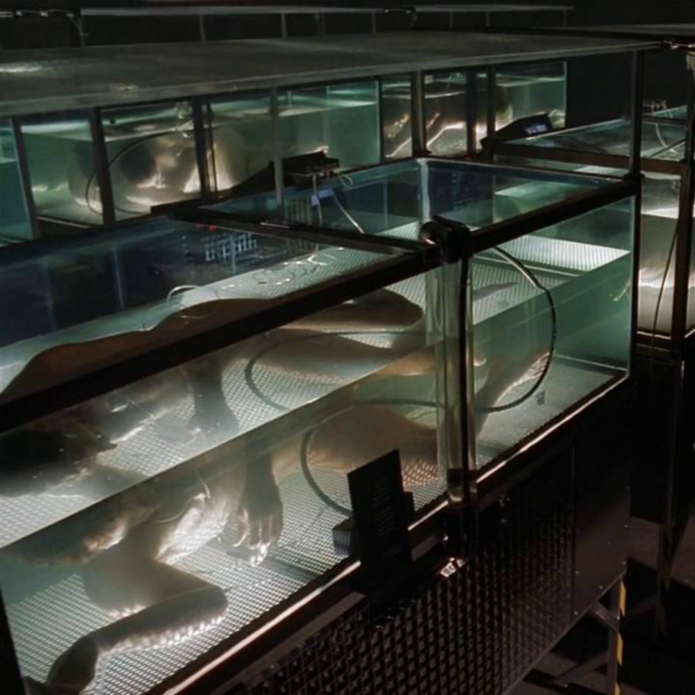 Five Thoughts On The X Files S The Erlenmeyer Flask