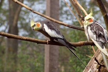Kunstverein Hof Museum