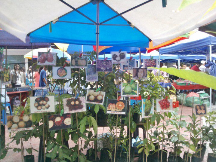 A world traveler visits the weekly market in kota kinabalu malaysia and compares it to european and usa farmers markets. Gaya Street A K A Bond Street Kota Kinabalu Museum Volunteers Jmm