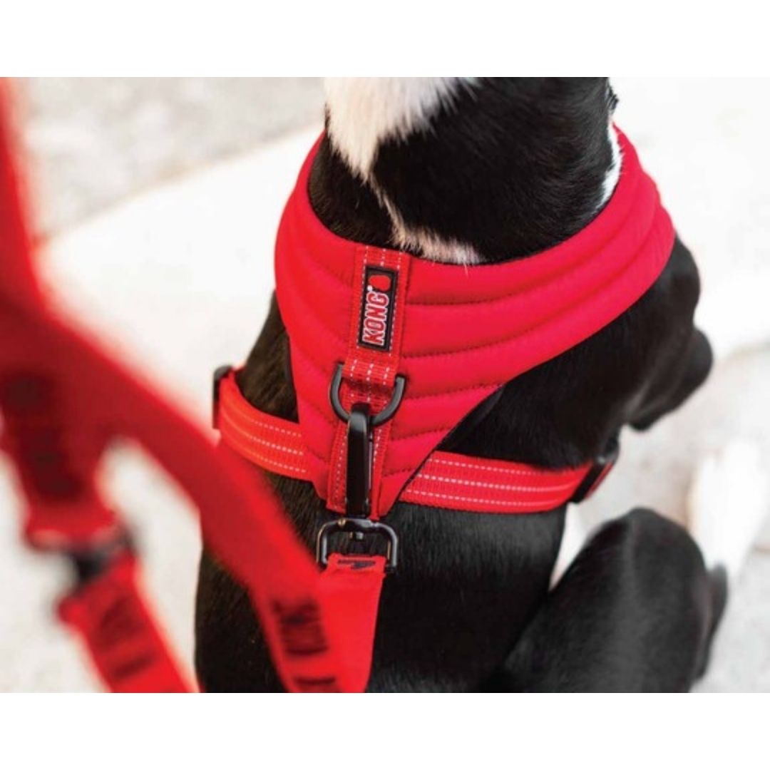 kong small harness