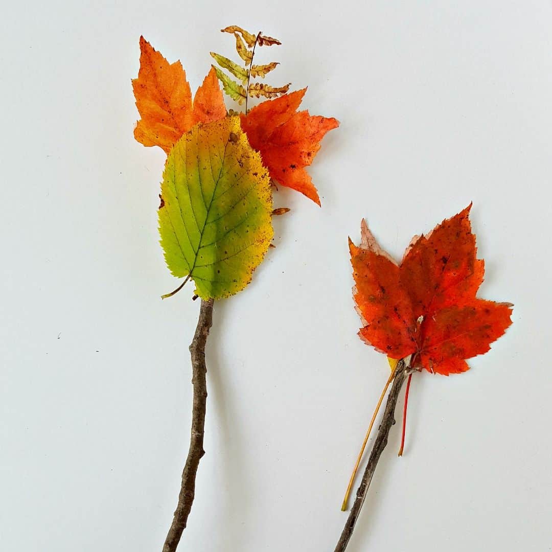 Magic Wands Nature Craft for Toddlers My Bored Toddler